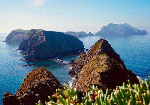 Best places to get tox in Oxnard, California